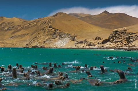 Travelers exploring the Paracas National Reserve and the Huacachina oasis in Peru.