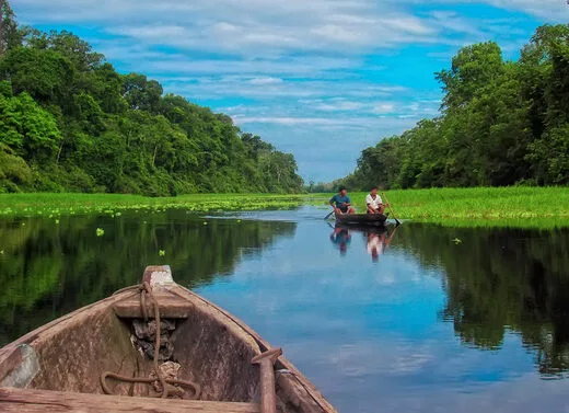 7. Amazônia Peruana: Loreto e Madre de Dios, o pulmão da viagem