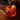 Drinks